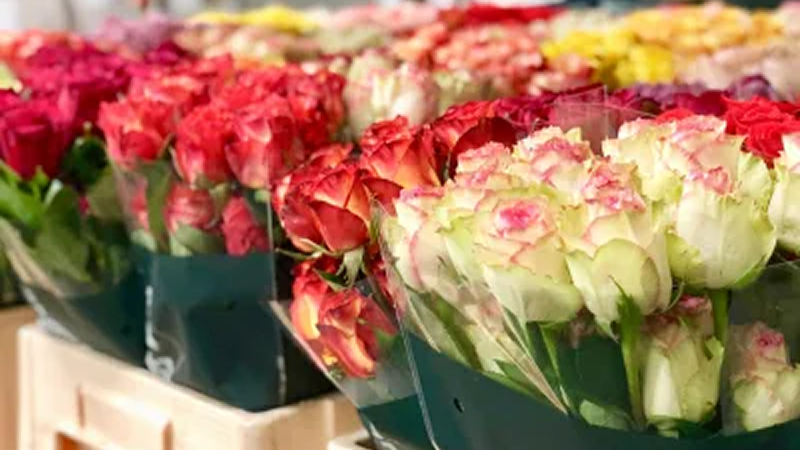 What-We-Do-Procurement